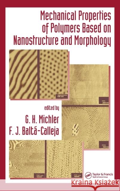 Mechanical Properties of Polymers based on Nanostructure and Morphology G. H. Michler F. J. Balta Calleja F. J. Balta-Calleja 9781574447712 CRC