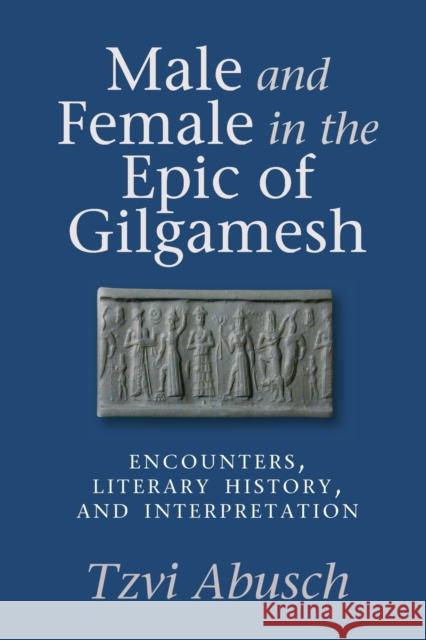 Male and Female in the Epic of Gilgamesh: Encounters, Literary History, and Interpretation Tzvi Abusch 9781575063492 Eisenbrauns