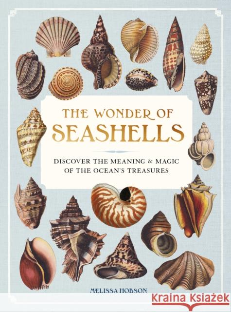 The Wonder of Seashells: Discover the Meaning and Magic of the Ocean’s Treasures Melissa Hobson 9781577155126 Wellfleet Press