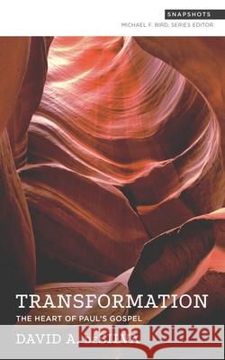 The Heart of Paul's Gospel Desilva 9781577995852