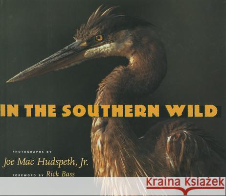 In the Southern Wild Joe Mac, Jr. Hudspeth Rick Bass 9781578065844 University Press of Mississippi