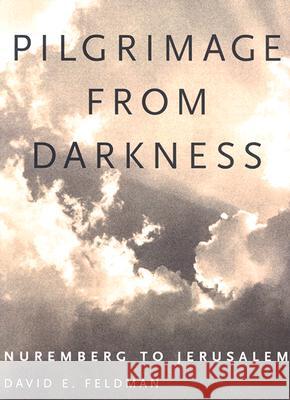 Pilgrimage from Darkness: Nuremberg to Jerusalem David E. Feldman 9781578066193