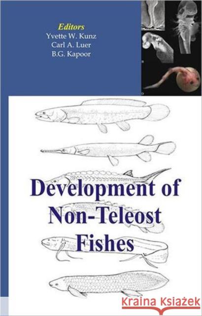 Development of Non-Teleost Fishes Kunz, Yvette W. 9781578085002 SCIENCE PUBLISHERS,U.S.