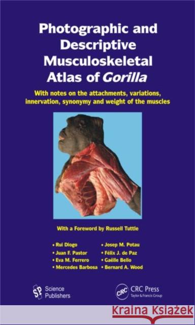 Photographic and Descriptive Musculoskeletal Atlas of Gorilla : With Notes on the Attachments, Variations, Innervation, Synonymy and Weight of the Muscles Rui Diogo Josep M. Potau Juan F. Pastor 9781578086948 Taylor and Francis