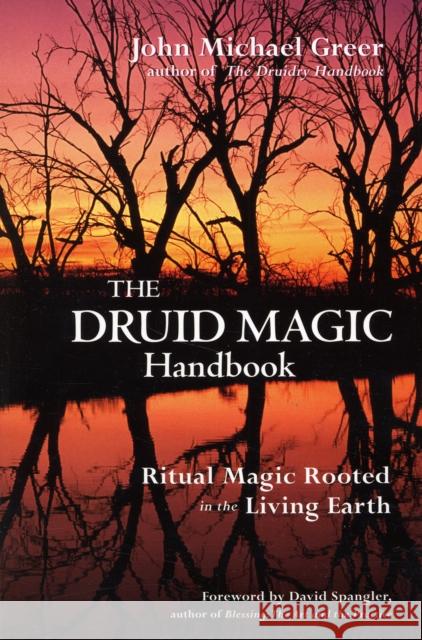 Druid Magic Handbook: Ritual Magic Rooted in the Living Earth John Michael Greer 9781578633975