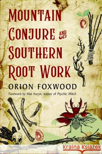 Mountain Conjure and Southern Root Work Orion Foxwood Matt Auryn 9781578637362 Weiser Books