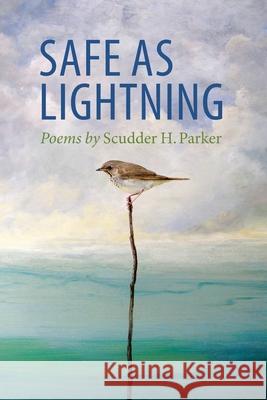 Safe as Lightning: Poems Scudder H. Parker 9781578690312 Rootstock Publishing