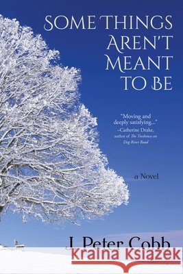Some Things Aren't Meant to Be J. Peter Cobb 9781578691753 Rootstock Publishing