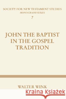 John The Baptist in the Gospel Tradition Wink, Walter 9781579105297 Wipf & Stock Publishers
