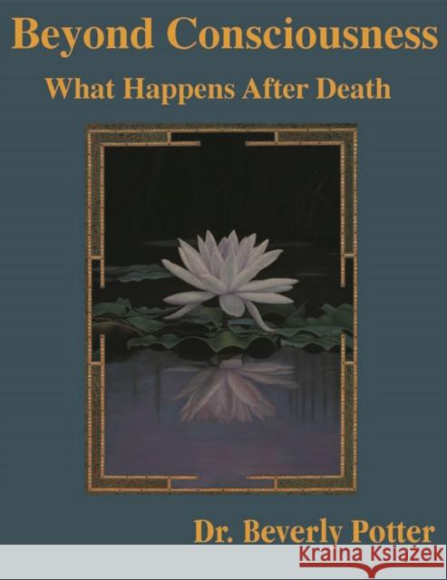 Beyond Consciousness: What Happens After Death David Jay Brown 9781579510831 Ronin Publishing (CA)