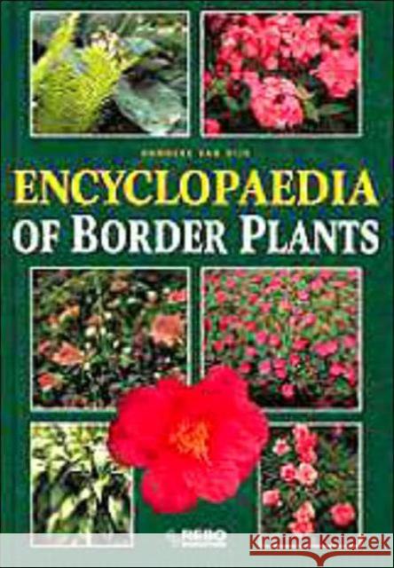 Encyclopedia of Border Plants Hanneke Va 9781579582029 Fitzroy Dearborn Publishers