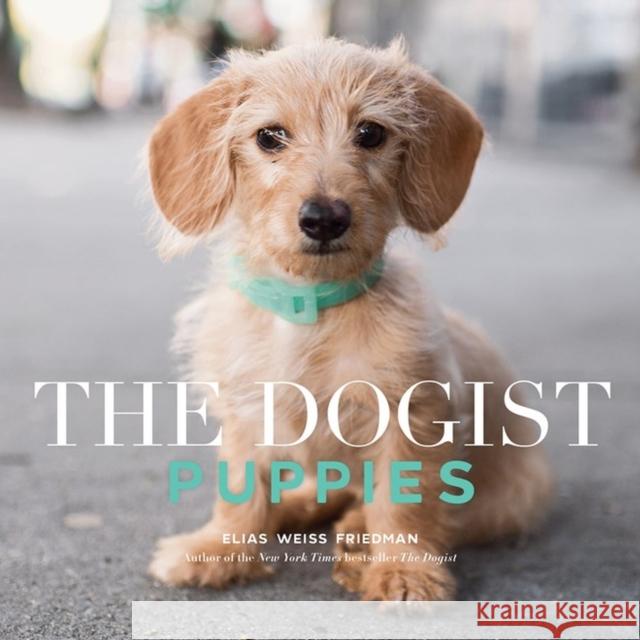 The Dogist Puppies Elias Weiss Friedman 9781579658694