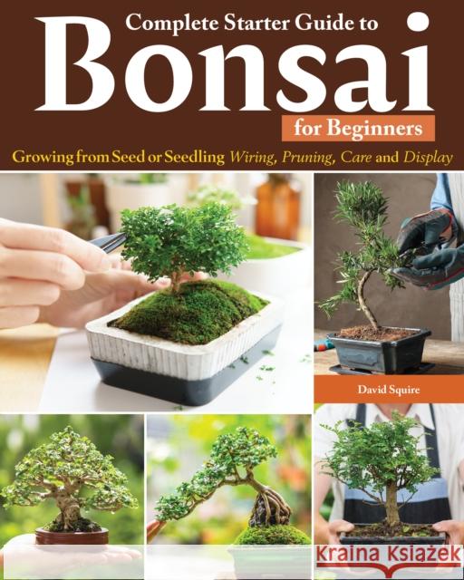 Complete Starter Guide to Bonsai: Growing from Seed or Seedling--Wiring, Pruning, Care, and Display David Squire 9781580116091 Creative Homeowner Press,U.S.