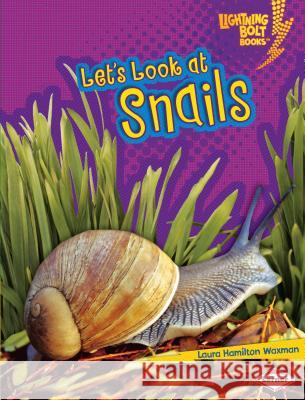 Let's Look at Snails Laura Hamilton Waxman 9781580138659 Lerner Classroom