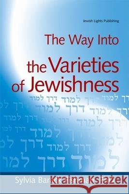 The Way Into the Varieties of Jewishness Sylvia Barack Fishman 9781580230308 Jewish Lights Publishing