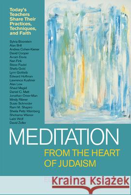 Meditation from the Heart of Judaism Davis, Avram 9781580230490 Jewish Lights Publishing