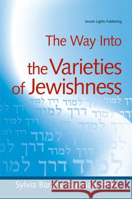 The Way Into the Varieties of Jewishness Sylvia Barack Fishman 9781580233675 Jewish Lights Publishing