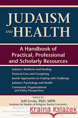 Judaism and Health: A Handbook of Practical, Professional and Scholarly Resources Levin Phd Jeff Prince Lcsw Michel 9781580237147 Jewish Lights Publishing