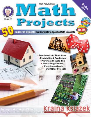 Math Projects, Grades 5 - 12 Joyce Stulgis-Blalock 9781580375757
