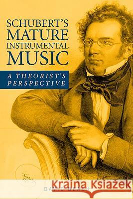 Schubert's Mature Instrumental Music: A Theorist's Perspective Beach, David 9781580465922