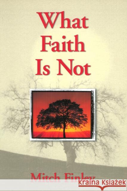 What Faith is Not Finley, Mitch 9781580511032 Sheed & Ward