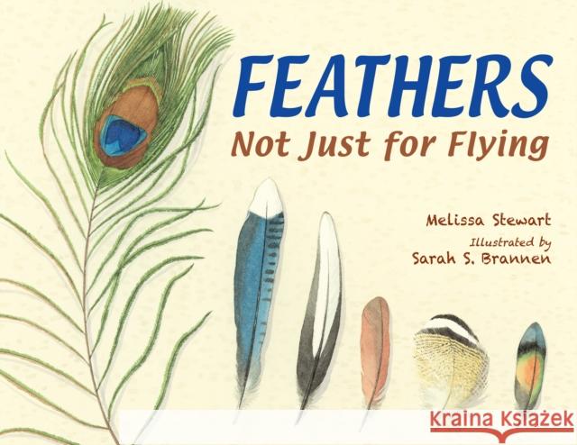 Feathers: Not Just for Flying Stewart, Melissa 9781580894319