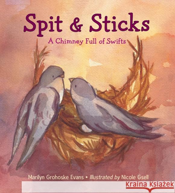 Spit & Sticks: A Chimney Full of Swifts Marilyn Grohosk Nicole Gsell Marilyn Grohoske Evans 9781580895880 Charlesbridge Publishing