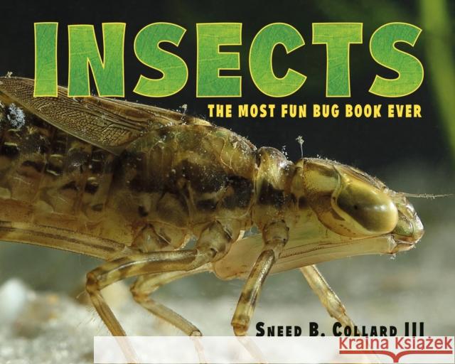 Insects: The Most Fun Bug Book Ever Sneed B. Collard 9781580896429