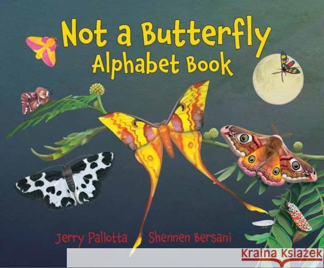 Not a Butterfly Alphabet Book Shennen Bersani 9781580896900