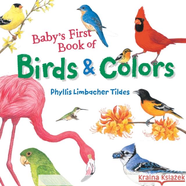Baby's First Book of Birds & Colors Phyllis Limbacher Tildes Phyllis Limbacher Tildes 9781580897426 Charlesbridge Publishing