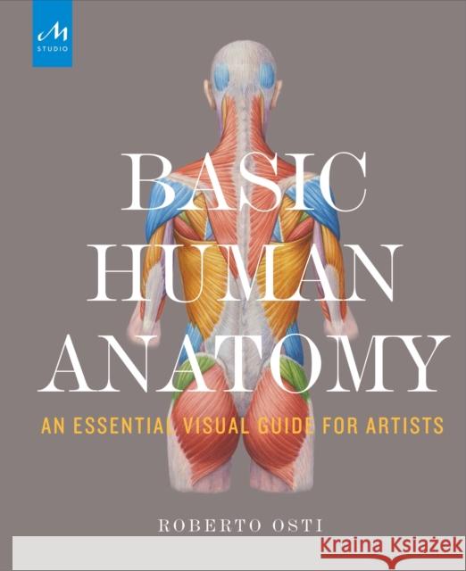 Basic Human Anatomy: An Essential Visual Guide for Artists Roberto Osti 9781580934381 Monacelli Studio