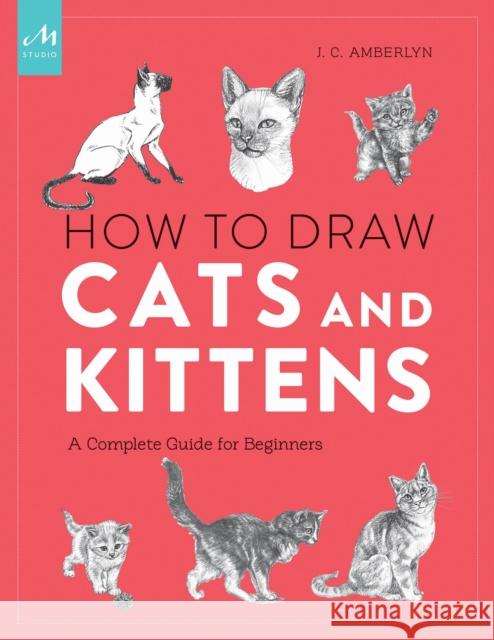 How to Draw Cats and Kittens: A Complete Guide for Beginners J. C. Amberlyn 9781580935005 Monacelli Press