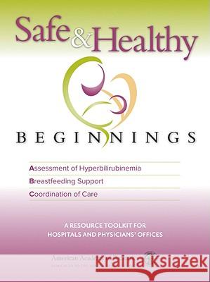 Safe & Healthy Beginnings: A Resource Toolkit for Hospitals and Physicians' Offices American Academy of Pediatrics 9781581103298
