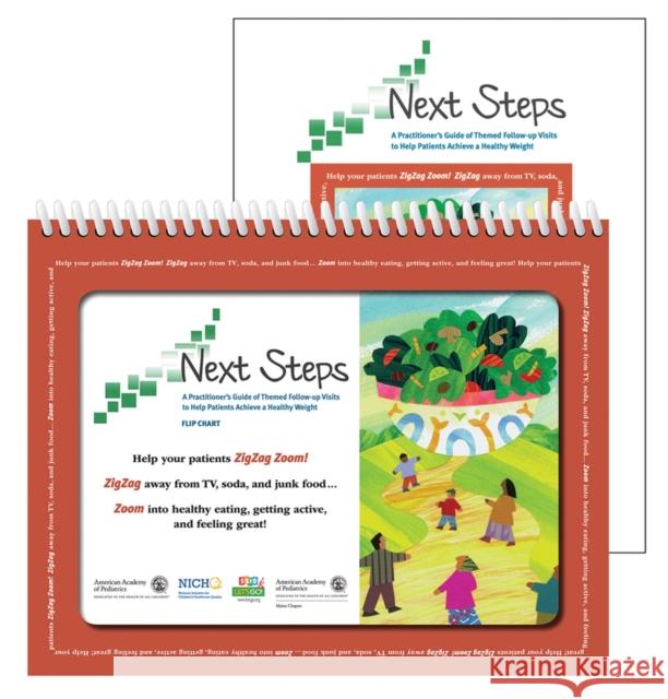 Next Steps: A Practitoner's Guide of Themed Follow-Up Visits to Help Patients Achieve a Healthy Weight American Academy of Pediatrics (Aap) 9781581107623 American Academy of Pediatrics