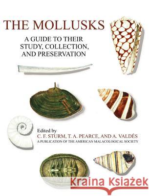 The Mollusks: A Guide to Their Study, Collection, and Preservation Sturm, C. F. 9781581129304 Universal Publishers