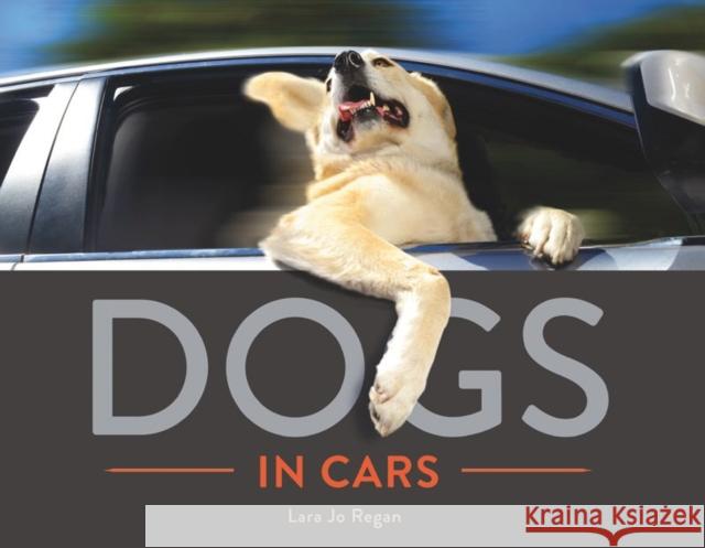 Dogs in Cars Lara Jo Regan 9781581572797 Countryman Press