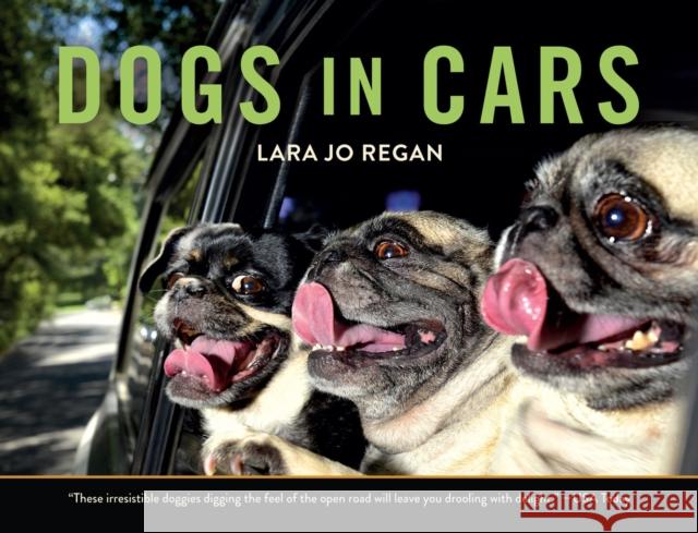 Dogs in Cars Lara Jo Regan 9781581574203 Countryman Press