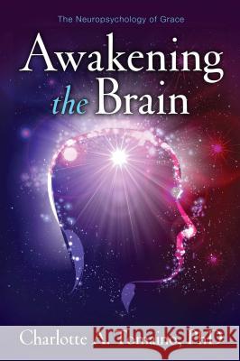 Awakening the Brain: The Neuropsychology of Grace Charlotte A. Tomaino 9781582703121 Atria Books