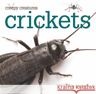 Crickets Valerie Bodden 9781583419939 Creative Education