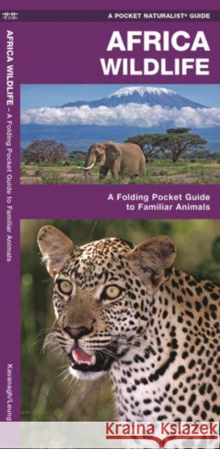 African Wildlife: A Folding Pocket Guide to Familiar Species James Kavanagh Raymond Leung 9781583550328