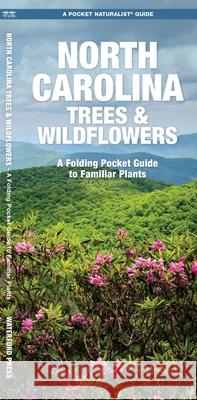 North Carolina Trees & Wildflowers: A Folding Pocket Guide to Familiar Plants Kavanagh, James 9781583551134 Waterford Press