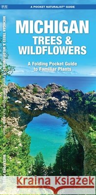 Michigan Trees & Wildflowers: An Introduction to Familiar Species James Kavanagh Raymond Leung 9781583552469 Waterford Press