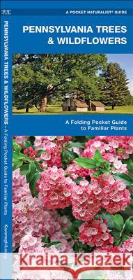 Pennsylvania Trees & Wildflowers: A Folding Pocket Guide to Familiar Plants James Kavanagh 9781583554166