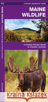 Maine Wildlife: A Folding Pocket Guide to Familiar Species James Kavanagh 9781583555927