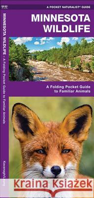 Minnesota Wildlife: A Folding Pocket Guide to Familiar Species James Kavanagh 9781583555934 Waterford Press