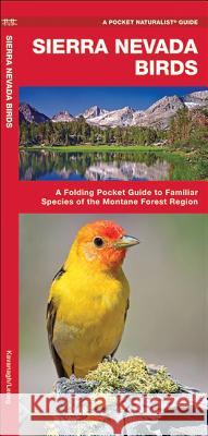 Sierra Nevada Birds: A Folding Pocket Guide to Familiar Species of the Montane Forest Region James Kavanagh Raymond Leung 9781583557938 Waterford Press