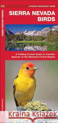 Sierra Nevada Birds: A Folding Pocket Guide to Familiar Species of the Montane Forest Region James Kavanagh Raymond Leung 9781583557938