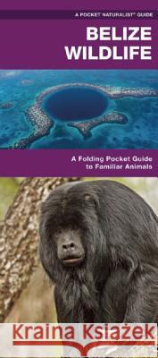 Belize Wildlife: A Folding Pocket Guide to Familiar Species James Kavanagh Raymond Leung 9781583558676