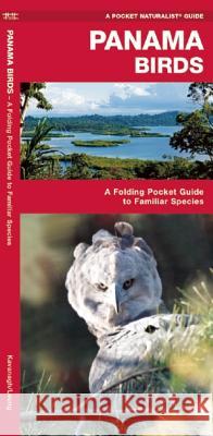 Panama Birds: A Folding Pocket Guide to Familiar Species James Kavanagh 9781583559840 Waterford Press