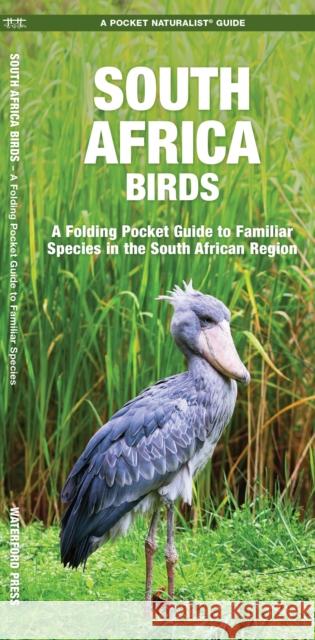 South Africa Birds: A Folding Pocket Guide to Familiar Species Waterford Press 9781583559864 Waterford Press